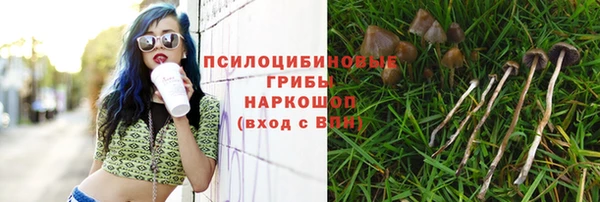 амф Михайловка