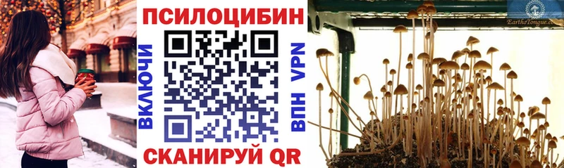 Псилоцибиновые грибы GOLDEN TEACHER  цена   сайты даркнета наркотические препараты  Ермолино 